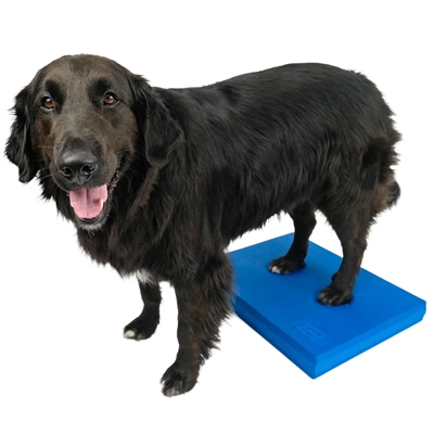 FitPaws Dog Balance Pad Til Genoptræning & Styrke